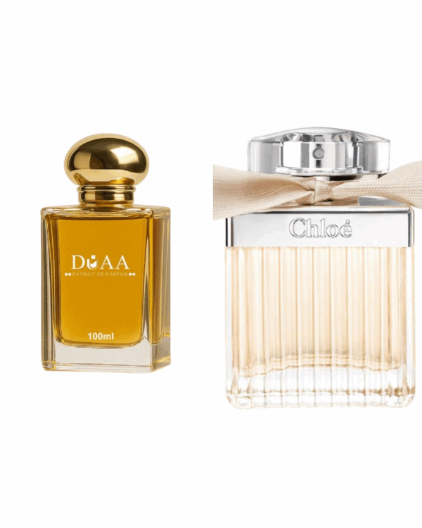 CHLOÉ NOMADE