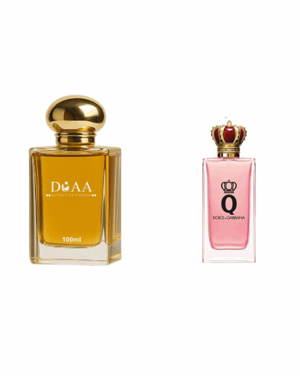 D&G Q