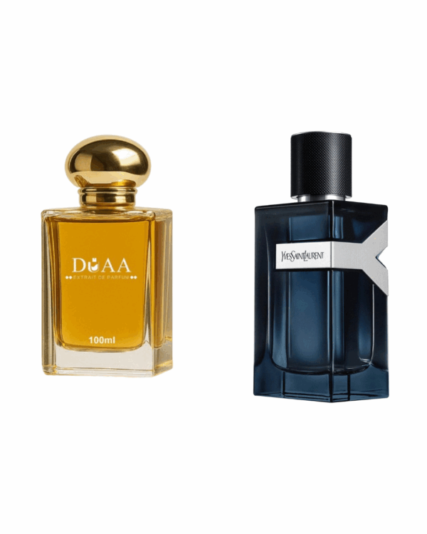 YSL Y
